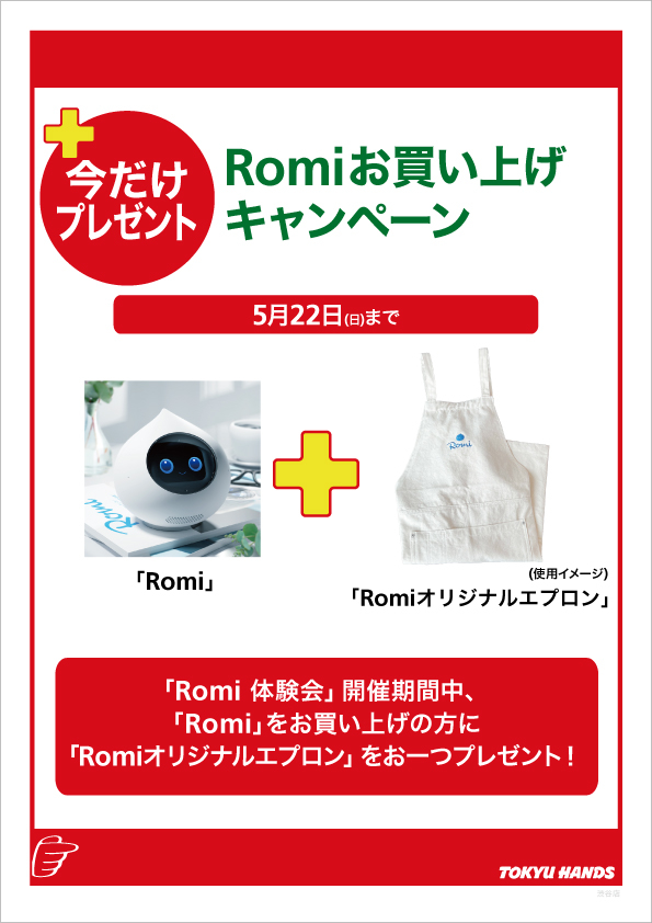 Romi_お買い上げキャンペーン_A4.jpg
